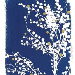 Botanical Cyanotype Of A Mimosa Flower - thumbnail 3