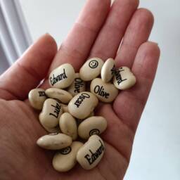 Personalised Name Bean Seeds , Magic Beans, Birthday Gift, Personalised Plant Garden Vegetable Grow Set, Named Plant, Christmas - thumbnail 3