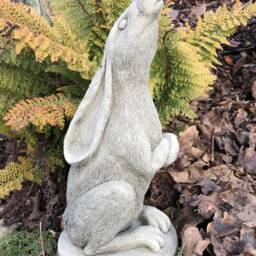 Luna - The Moon Gazing Rabbit Stone Garden Statue Ornament - thumbnail 3