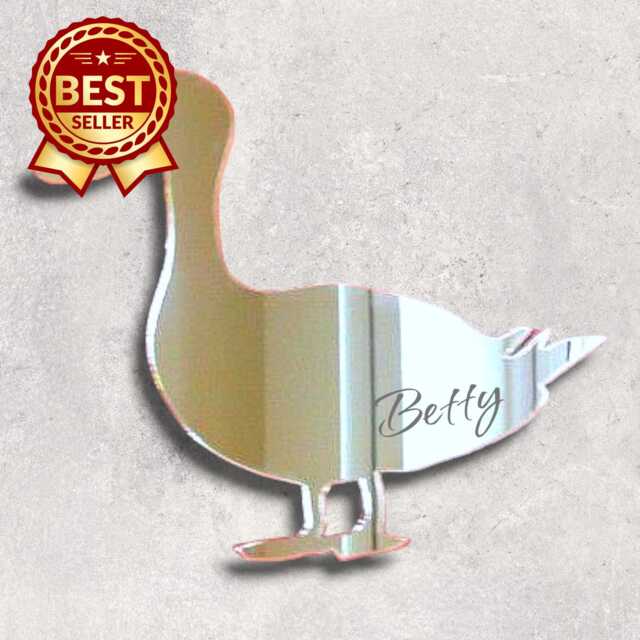 Personalized Acrylic Mirror Wall Art Engraved Duck Decor - image 1
