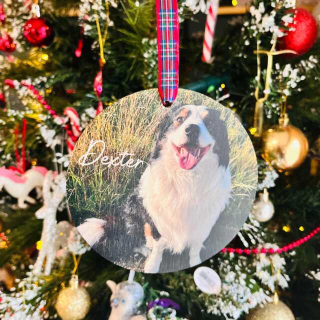 Personalised Pet Memorial Wood Hanging Christmas Tree Decoration, Pet Loss, Dog, Cat, Rabbit, Animal, Christmas, Bauble, Photo - image 1