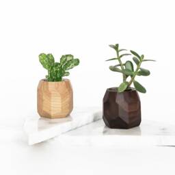 Geometric Wood Succulent Planter Modern Desk Decor - thumbnail 2