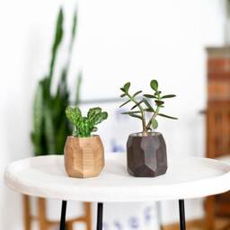 Geometric Wood Succulent Planter Modern Desk Decor