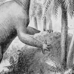 Vintage Iguanodon Dinosaur Print, Canvas Wall Hanging, Magnetic Wood Hanger - thumbnail 2