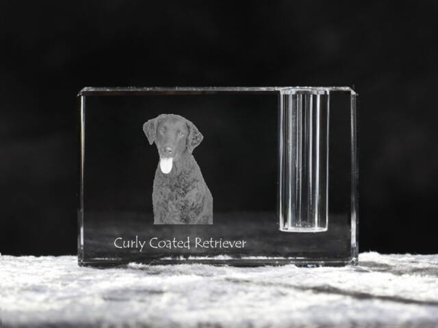 Curly Coated Retriever , Crystal Pen Holder With Dog, Souvenir, Decoration, Limited Edition, Collection - image 1