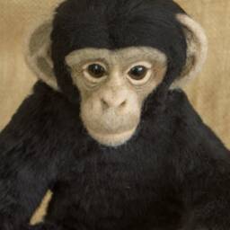 Made To Order Needle Felted Baby Chimpanzee Custom Needle Felted Animal Sculpture - thumbnail 4
