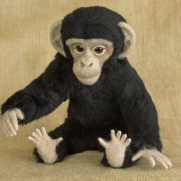 Made To Order Needle Felted Baby Chimpanzee Custom Needle Felted Animal Sculpture - thumbnail 3