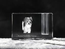 Biewer Terrier, Crystal Pen Holder With Dog, Souvenir, Decoration, Limited Edition, Collection - thumbnail 1