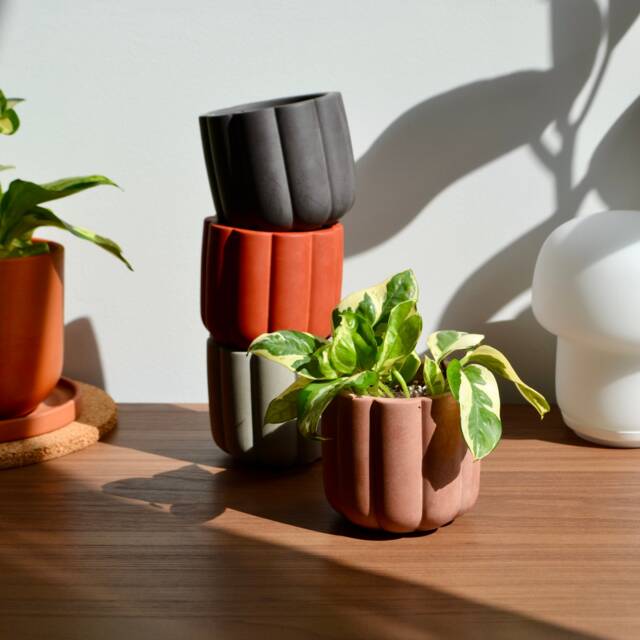 Fluted Concrete Cylinder Planter Minimal Succulent Pot - image 1