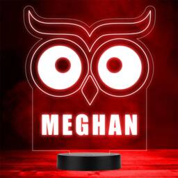 Owl Eyes & Beak Bird Animal Lover Led Personalised Gift Night Light