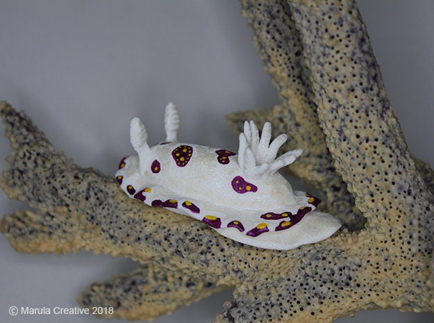 Caza The Nudibranch - Goniobranchus Cazae - image 1