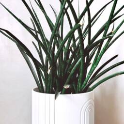 Set Of 3 - Stacking Geometric Plant Pots - thumbnail 4
