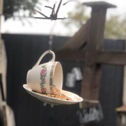 Tea Cup Bird Feeder Using Upcycled Teacup & Saucer With Chain. Funky Garden Decor.garden Decor - thumbnail 3