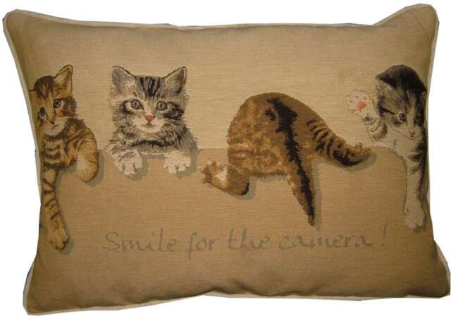 Kittens Smile For The Camera Oblong Tapestry Cushion Pillow Cover - image 1