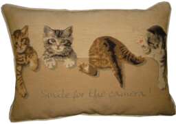 Kittens Smile For The Camera Oblong Tapestry Cushion Pillow Cover - thumbnail 1