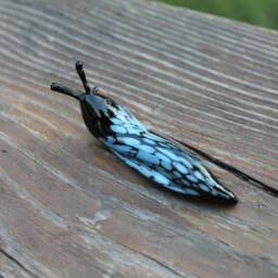 Spotted Slug Glass Sculpture Glass Slug Lampwork Glass Animals Handcrafted Snail - thumbnail 2