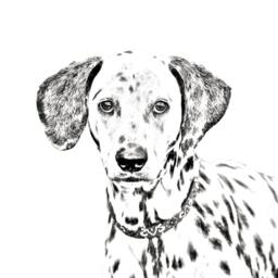 Dalmatian - Wooden Stand For Candles/Pens With The Image Of A Dog New Collection - thumbnail 2
