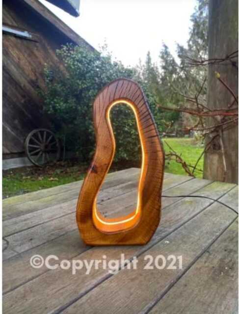 Madre Tierra - Original Signature Sculptural Wood Lamp - image 1
