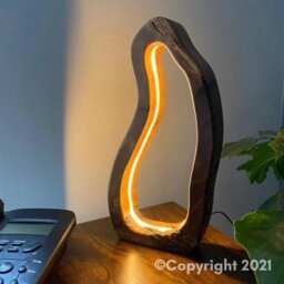 Madre Tierra - Original Signature Sculptural Wood Lamp - thumbnail 2