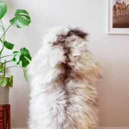 Real Sheepskin Throw, Xxl Icelandic Sheepskin Rug - thumbnail 4