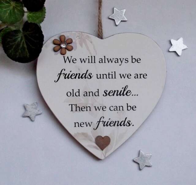 We Will Always Be Friends Until We Are Old & Senile Funny Wooden Gift Plaque - image 1