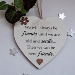 We Will Always Be Friends Until We Are Old & Senile Funny Wooden Gift Plaque - thumbnail 2