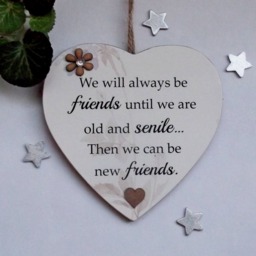 We Will Always Be Friends Until We Are Old & Senile Funny Wooden Gift Plaque - thumbnail 3