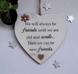 We Will Always Be Friends Until We Are Old & Senile Funny Wooden Gift Plaque - thumbnail 1