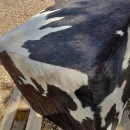 "Custom Made - Cowhide Padded Footstool Cube Stool Ottoman 42x42cm - 17""x17" - thumbnail 4