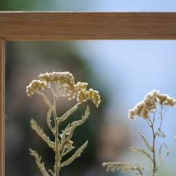 Delicate Like Memories - Wall Decor 8x8 - thumbnail 2