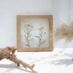 Delicate Like Memories - Wall Decor 8x8 - thumbnail 4