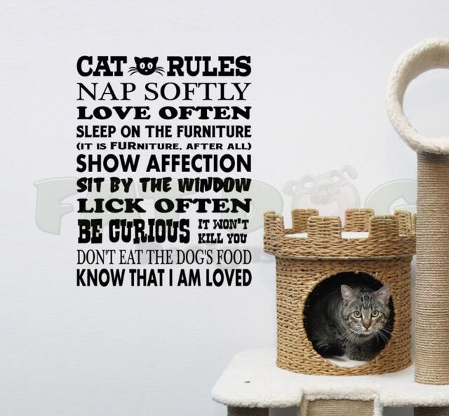 Cat Rules Removable Vinyl Wall Decal, Cat Lover Gift, Funny Sign, Vet Office Decor, Rescue, Lady Gift Idea - image 1