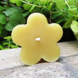 Clover Floating Beeswax Candles/Handmade in Usa 100% Natural Bees Wax Cotton Wick Floats Water Fall Event Unscented Party - thumbnail 3