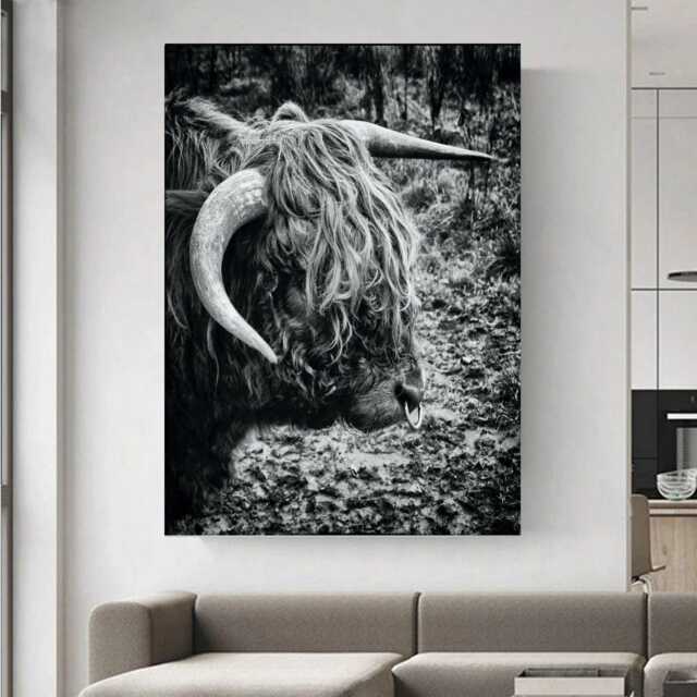 Highland Cow With Nose Ring Black & White Wall Art - Canvas Or Print Poster