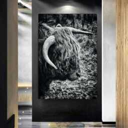 Highland Cow With Nose Ring Black & White Wall Art - Canvas Or Print Poster - thumbnail 2