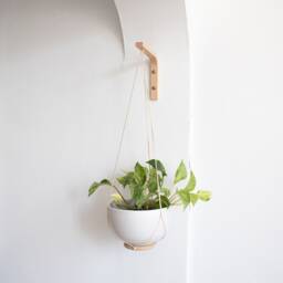 Wall Hook For Hanging Plant, Wood Plant Hook, Holder, Plants Hooks, Hanger - thumbnail 4