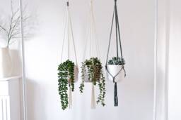 Modern Macrame Plant Hanger - Eco-Friendly Recycled Cotton Home Decor Accessories Customizable Boho Scandinavian