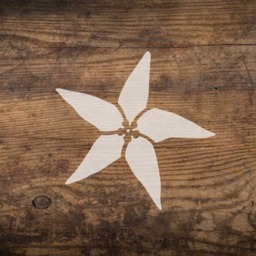 Sea Star Nautical Wall Art Stencil - Reusable Stencils Diy Home D??cor Easy - thumbnail 2