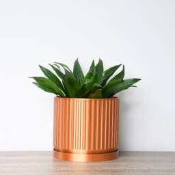 "Jetsetter Planter With Drainage & Saucer in Copper, Unique 3D-Printed Plant Pot, Small To Large Sizes 4"" 5"" 6"" 7"" 8" - thumbnail 3