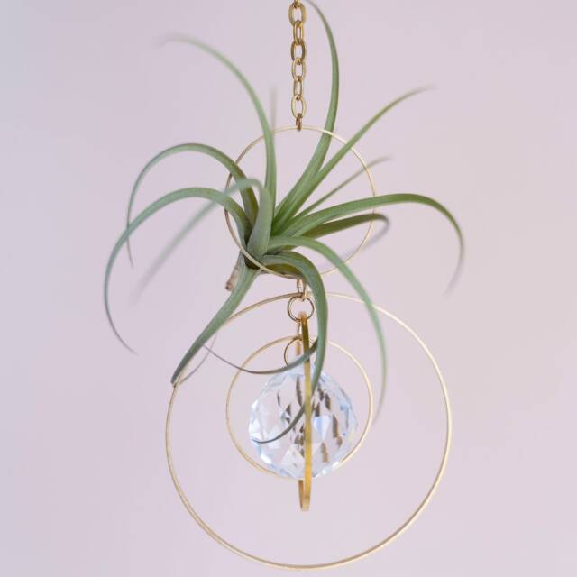 Orbital Hanging Air Plant Holder With Prism, Hanger, Display, Lover Gift, Decor - image 1