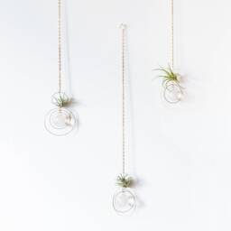 Orbital Hanging Air Plant Holder With Prism, Hanger, Display, Lover Gift, Decor - thumbnail 3
