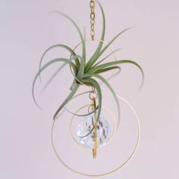 Orbital Hanging Air Plant Holder With Prism, Hanger, Display, Lover Gift, Decor - thumbnail 1
