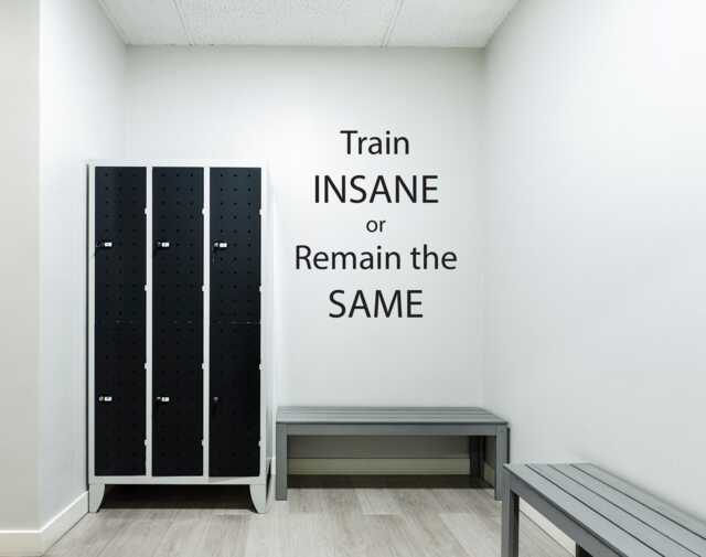 Gym Wall Decal, Physical Fitness Quote Decal. Train Insane Or Remain The Same. Sticker, Sticker For Marathon Training - image 1