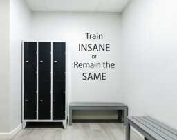 Gym Wall Decal, Physical Fitness Quote Decal. Train Insane Or Remain The Same. Sticker, Sticker For Marathon Training - thumbnail 1