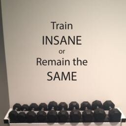 Gym Wall Decal, Physical Fitness Quote Decal. Train Insane Or Remain The Same. Sticker, Sticker For Marathon Training - thumbnail 3