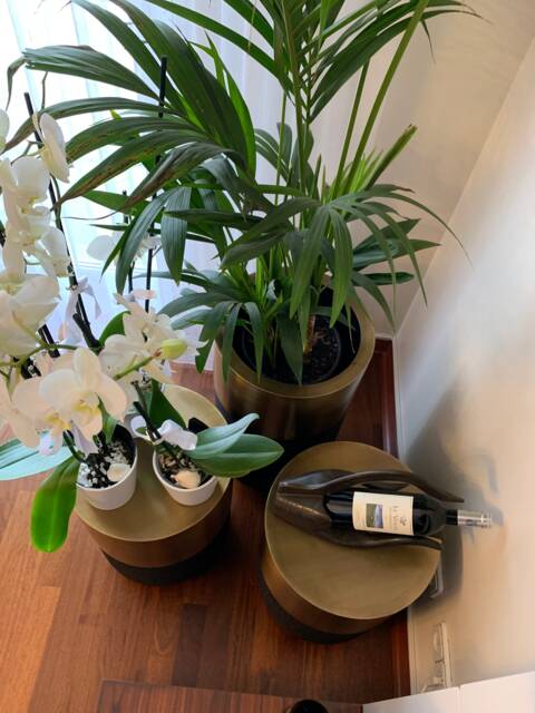 Luxury Flower Pot & Side Table, Metal Planter, Plant Holder, Plant Stand, Brass Pot, Table - image 1
