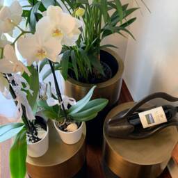 Luxury Flower Pot & Side Table, Metal Planter, Plant Holder, Plant Stand, Brass Pot, Table - thumbnail 4