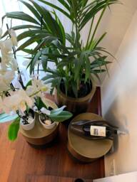 Luxury Flower Pot & Side Table, Metal Planter, Plant Holder, Plant Stand, Brass Pot, Table