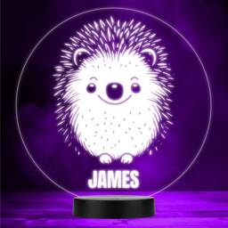 Happy Cute Hedgehog Colour Changing Led Lamp Personalised Gift Night Light - Bedroom