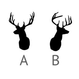 Modern Bold Deer Head Shilouette - Wall Decal Custom Vinyl Art Stickers - thumbnail 2